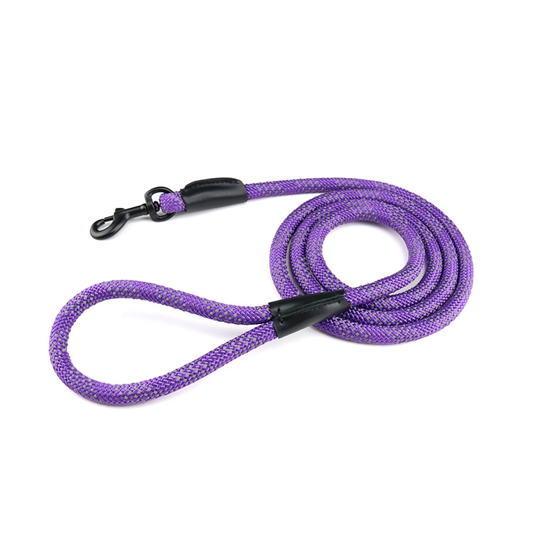 Mountain Climbing Dog Rope Leash