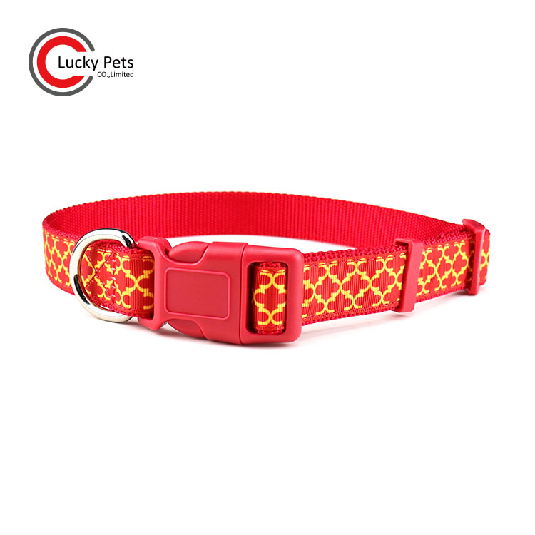 Premium Custom Fashion Patterns Nylon Ribbon Dog Collar