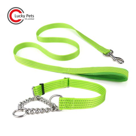dog leash collar